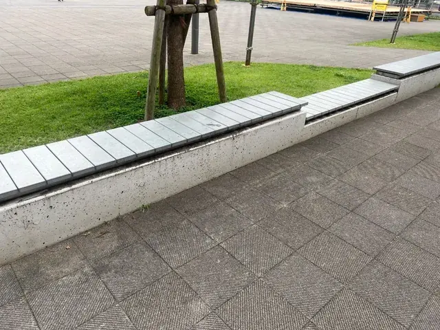 たんけん隊が記録したベンチの写真